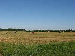 A field in Salt Creek Township