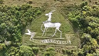 The Warwickshire Regiment badge on the hillside at grid reference ST984271