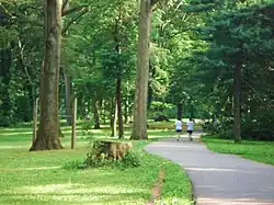 A path around the perimeter of the park
