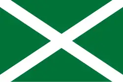 Flag of the Federal Customs Service, 1994