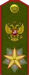 Marshal of the Russian Federation