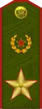 Army General