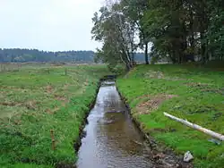Graniczna near Podole Małe