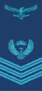 (South African Air Force)[17]