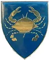 Kynsna Commando Insignia