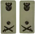 Brigadier General embossed badge