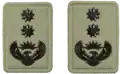 Colonel embossed badge