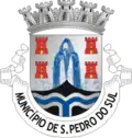 Coat of arms of São Pedro do Sul