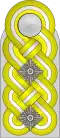 Shoulder board (Waffen-SS)