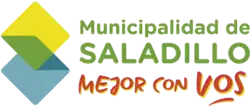 Official logo of Saladillo