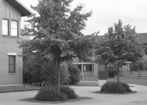 Scale-space representation '"`UNIQ--postMath-0000001C-QINU`"' at scale '"`UNIQ--postMath-0000001D-QINU`"', corresponding to the original image '"`UNIQ--postMath-0000001E-QINU`"'