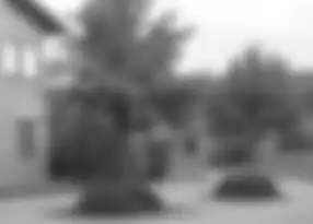 Scale-space representation '"`UNIQ--postMath-00000023-QINU`"' at scale '"`UNIQ--postMath-00000024-QINU`"'