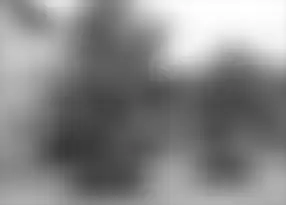 Scale-space representation '"`UNIQ--postMath-00000027-QINU`"' at scale '"`UNIQ--postMath-00000028-QINU`"'