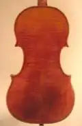 Igino Sderci violin back 1924