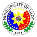 Official seal of Liloy