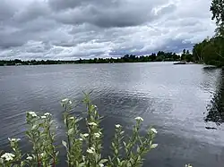 Riparian Strip, Chemin de la Vigilance
