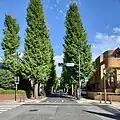 Tree-lined street in front of Seijo University's main gate