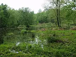 Image of Sewell Branch