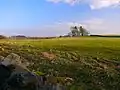 Shennanton. View across open farmland at Shennanton. Cairn in front of tall trees.