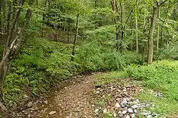 Creek on Rays Hill in State Game Lands 49