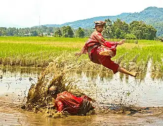 Image 80A demonstration of Pencak Silat, a form of martial arts. (from Culture of Indonesia)