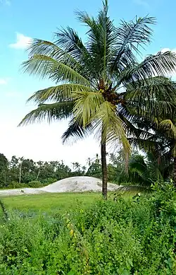 View of Panchara Manal and Temple below