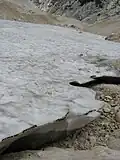 Glacier snow