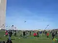 Smithsonian Kite Festival, March 27, 2010