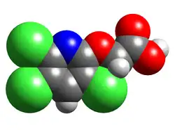 Space-filling model of the triclopyr molecule