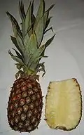 Ananas comosus (pineapple)
