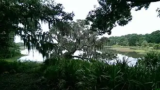 St. Catherine's Island