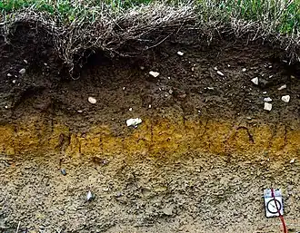 Layers of soil in Ireland. Dark brown soil usually contains a high amount of decayed organic matter