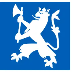 Standard of the Combat Engineer Battalion