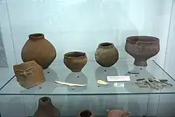 Starčevo culture artefacts