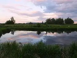 The oxbow lake in Brześce