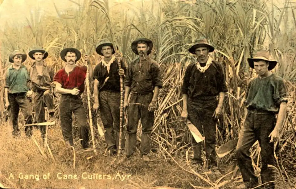 Canecutters in Ayr, Australia c.1907