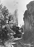 Loco No 7 at Ngutuwera T.T.T. Railway, 1947[1]