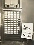 Bookcase with thin square slots for stereographs, black-and-white photo