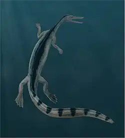 Artist's reconstruction of Stereosternum