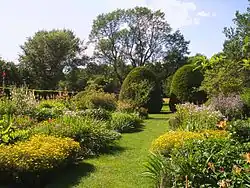 Perennial garden, looking back from house.