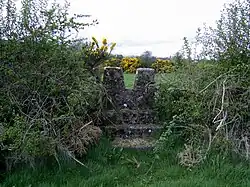 19th century concrete stile, Ranaghan, Collinstown