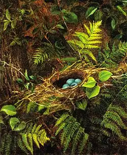 Still Life with Robin's Nest, 1863