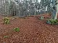 Stone circle, 200m south of the summit