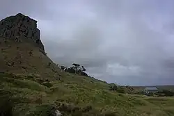 Maunganui with the house