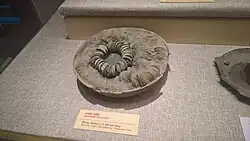 An unearthed bowl with a string of cash coins in it on display at the National Museum of Vietnamese History in Hanoi.