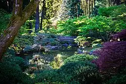 looking across a Japanese garden with a wooden bridge and pond