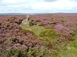 Stump Cross on Slape Wath Moor: heather moors overlook Cockayne