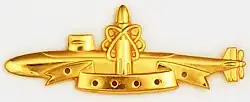 Gold SSBN Deterrent Patrol insignia, depicting a nuclear submarine with a superimposed ballistic missile, framed by lines reminiscent of an atomic nucleus, indicating the missiles contain nuclear warheads.