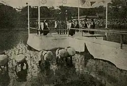 People planting rice while women dance on a nearby platform.