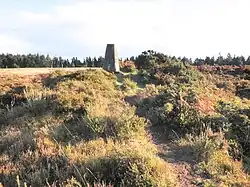 Three round barrows on Withycombe Common, 360 m north of Fire Tower